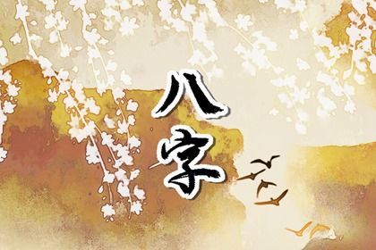命占卜测八字|八字摆盘免费|水木八字排盘|十二方八字算命|九星算命占卜