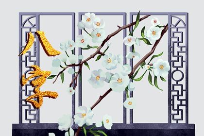 八字本命盘_紫微抖数排盘_解八字命盘_本命盘分析