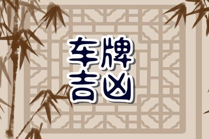 数理分如何理解