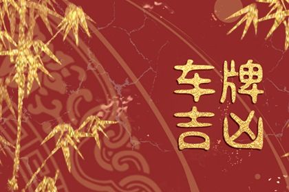 车牌号测算基础