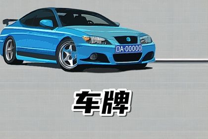 车牌数字解读