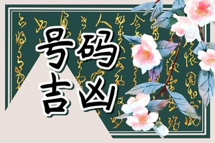 数字化号码参考用法