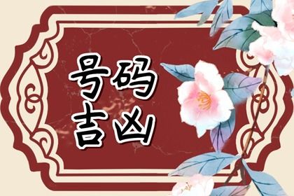 如何读本页结果
