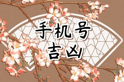 靓号一定吉利吗