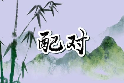 姻缘周易_夫妻生肖配对_十二生姻缘配对_缘分姓名配对