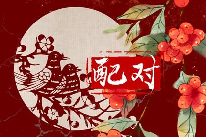 爱情配对_结婚配对_合婚姻配对_生宵婚姻配对_配对试验