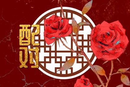 生辰十二生肖 男人女性八字 八字看生育能力 八字称骨算命