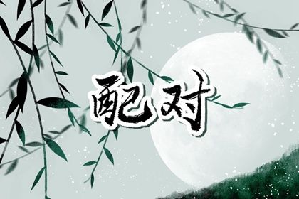 配对试验|综合八字排盘|男女生配对测试|八字配对免费