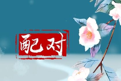 车牌测算吉凶查询免费 车牌照号码吉凶预测 车牌号吉凶查询周易