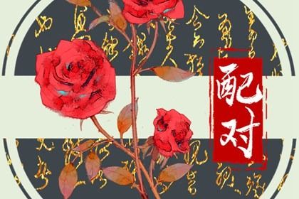 算生肖配对_配对试验_男女生八字配对