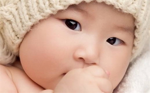 缺什么就补什么吗