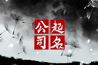 企业名称怎么起