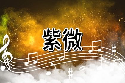 排盘格不是终局