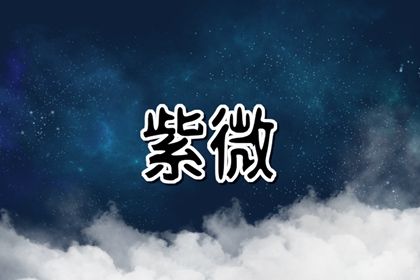 在线紫微查询怎么看