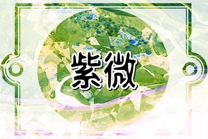 数字化紫微参考用法