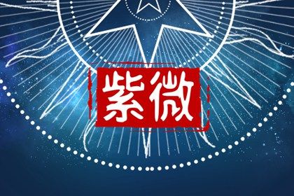 如何读本页结果